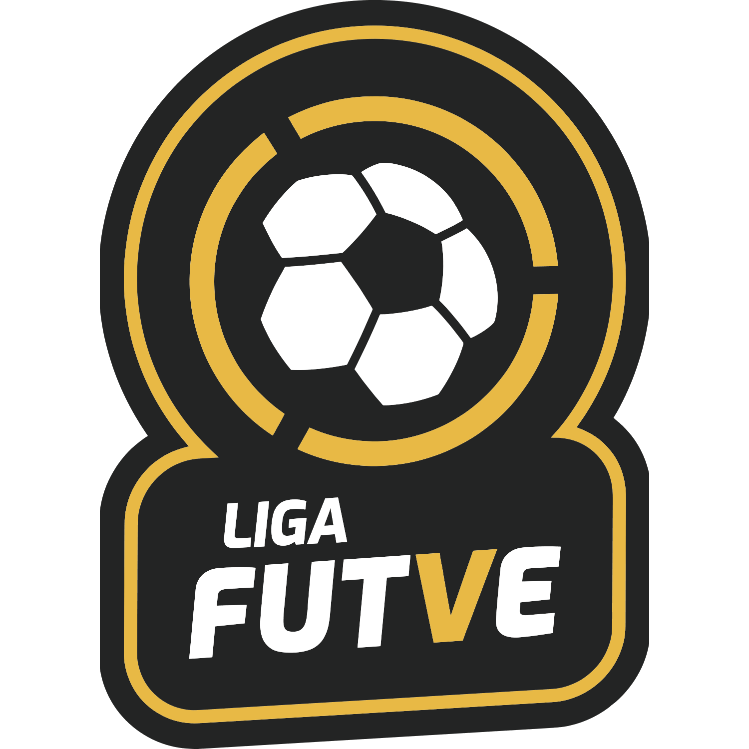 Premio FUTVE 2015